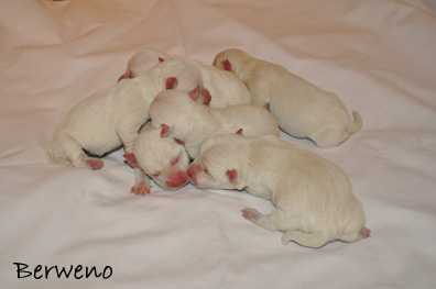 vrh B Berweno - 1 den