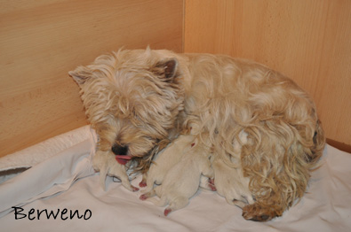 vrh B Berweno - 1 den