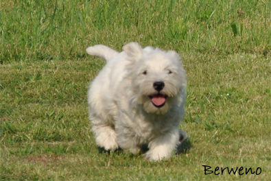 Belle Berweno - 4 msce