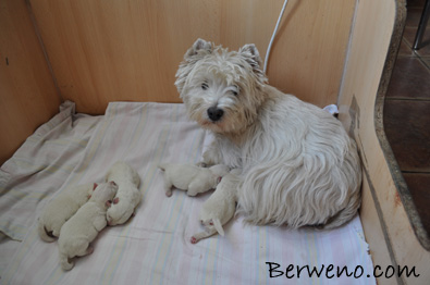 Vrh C Berweno - 3 dny