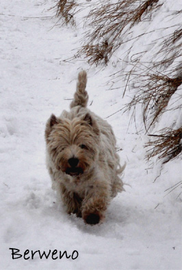 Zimní procházka - leden 2010