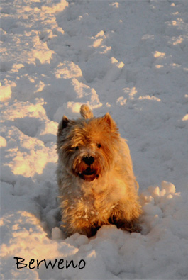 Zimní procházka - leden 2010