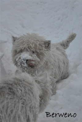 Zimní procházka - leden 2010