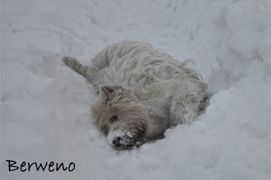 Zimní procházka - leden 2010