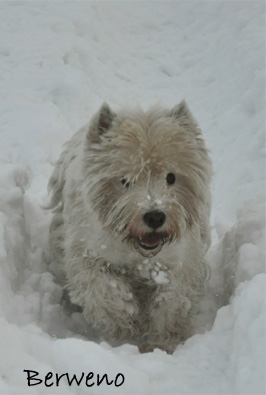 Zimní procházka - leden 2010