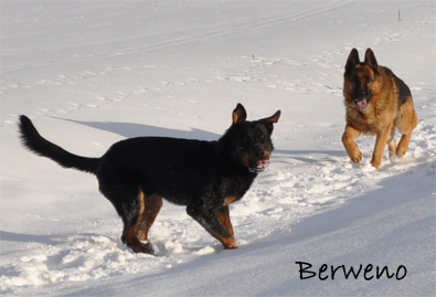 Zimní procházka - leden 2010