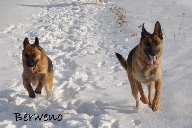 Zimní procházka - leden 2010