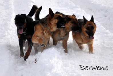 Zimní procházka - leden 2010