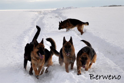 Zimní procházka - leden 2010