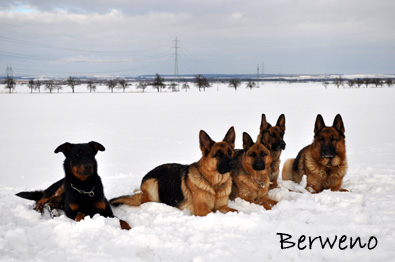 Zimní procházka - leden 2010