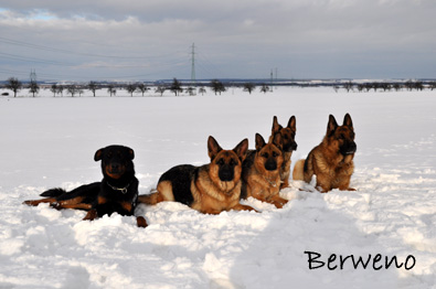 Zimní procházka - leden 2010