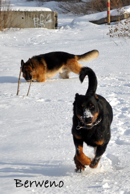 Zimní procházka - leden 2010