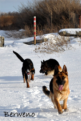 Zimní procházka - leden 2010