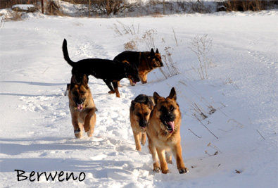 Zimní procházka - leden 2010