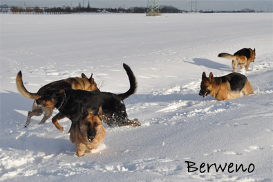 Zimní procházka - leden 2010