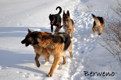 Zimní procházka - leden 2010