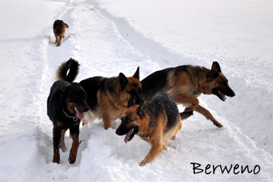 Zimní procházka - leden 2010