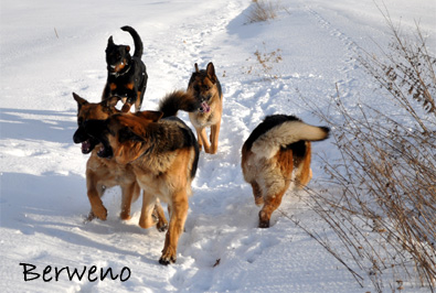 Zimní procházka - leden 2010