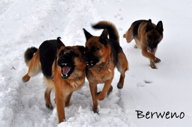 Zimní procházka - leden 2010