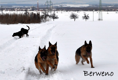 Zimní procházka - leden 2010