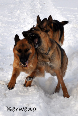 Zimní procházka - leden 2010