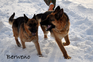 Zimní procházka - leden 2010