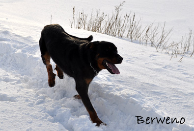 Zimní procházka - leden 2010