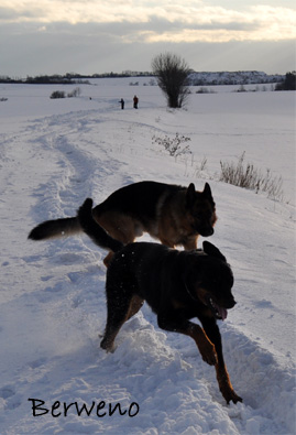 Zimní procházka - leden 2010