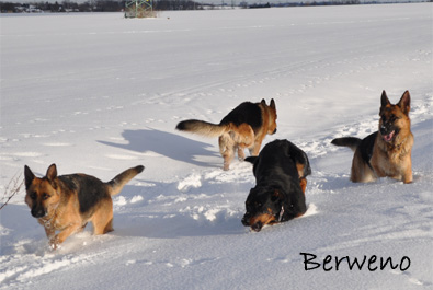 Zimní procházka - leden 2010