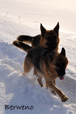 Zimní procházka - leden 2010