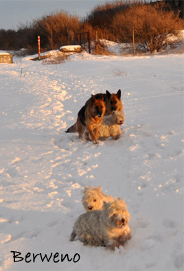 Zimní procházka - leden 2010