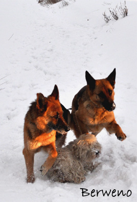 Zimní procházka - leden 2010