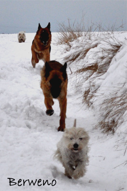 Zimní procházka - leden 2010