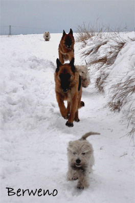 Zimní procházka - leden 2010