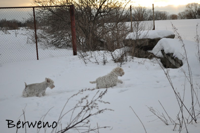 Zimní procházka - leden 2010