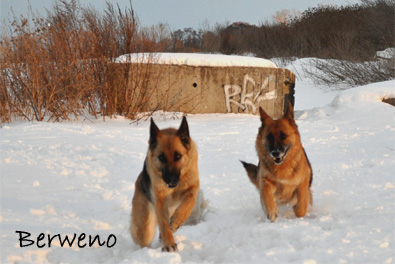 Zimní procházka - leden 2010