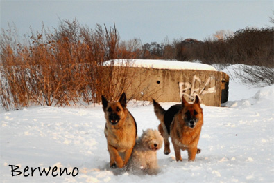 Zimní procházka - leden 2010