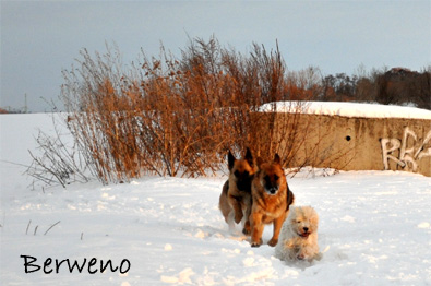 Zimní procházka - leden 2010