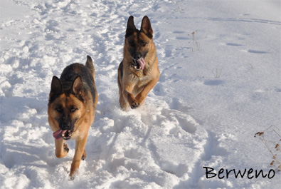 Zimní procházka - leden 2010