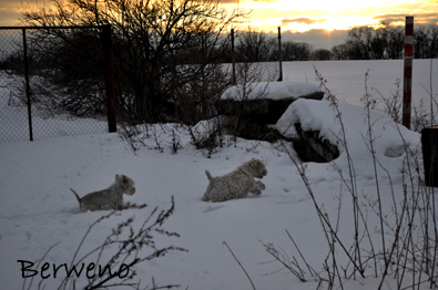 Zimní procházka - leden 2010