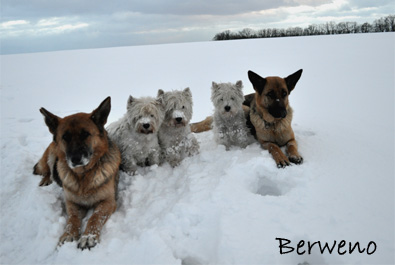 Zimní procházka - leden 2010
