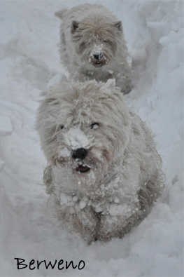 Zimní procházka - leden 2010