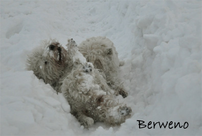 Zimní procházka - leden 2010