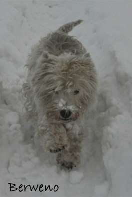 Zimní procházka - leden 2010