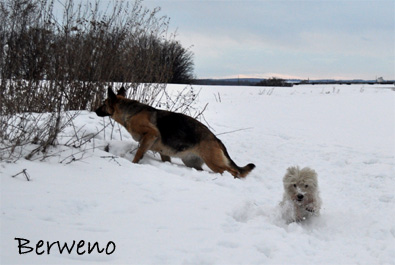Zimní procházka - leden 2010