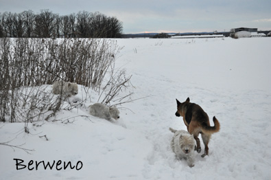 Zimní procházka - leden 2010