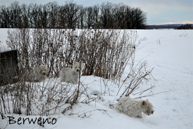 Zimní procházka - leden 2010