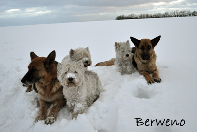 Zimní procházka - leden 2010