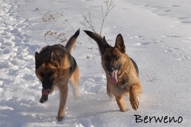 Zimní procházka - leden 2010