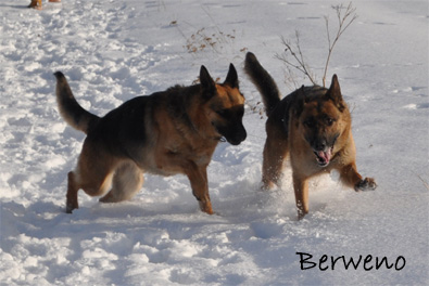 Zimní procházka - leden 2010